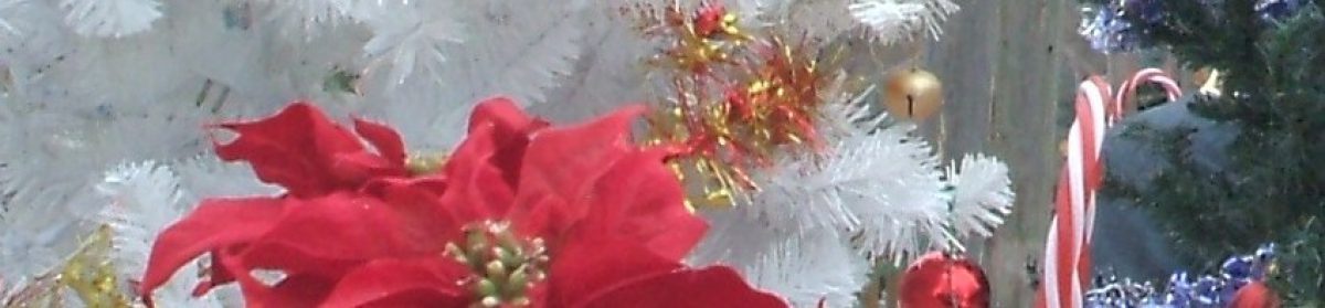 Creemore Community Christmas Dinner (2025)