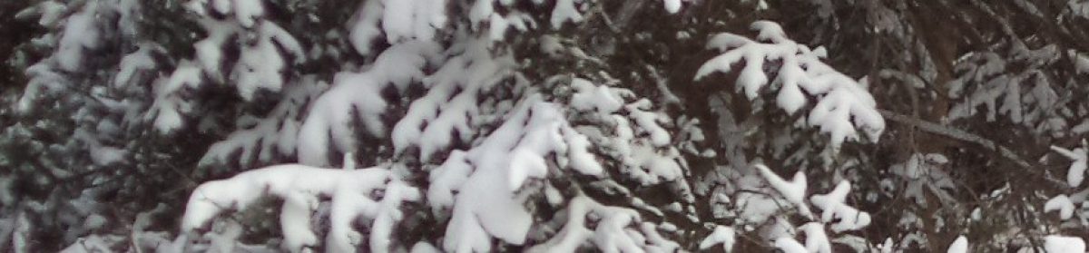 Creemore Community Christmas Dinner (2025)